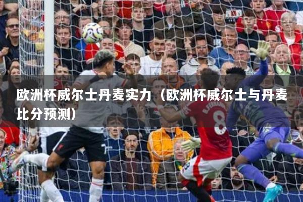 欧洲杯威尔士丹麦实力（欧洲杯威尔士与丹麦比分预测）