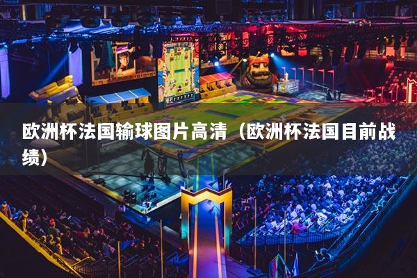 欧洲杯法国输球图片高清（欧洲杯法国目前战绩）