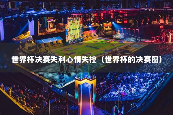 世界杯决赛失利心情失控（世界杯的决赛圈）