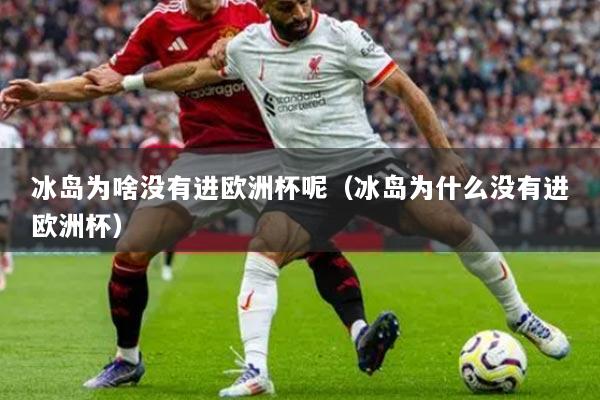 冰岛为啥没有进欧洲杯呢（冰岛为什么没有进欧洲杯）