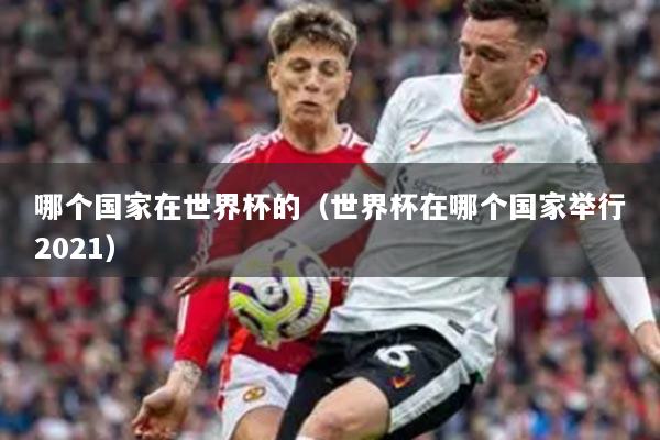 哪个国家在世界杯的（世界杯在哪个国家举行2021）