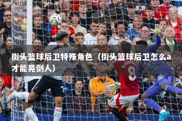 街头篮球后卫特殊角色（街头篮球后卫怎么a才能晃倒人）