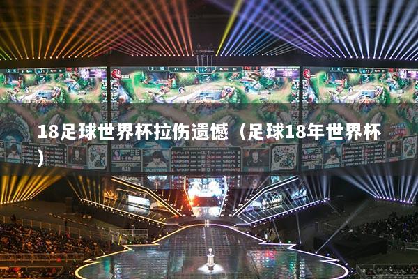 18足球世界杯拉伤遗憾（足球18年世界杯）