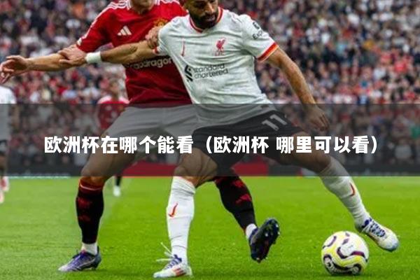 欧洲杯在哪个能看（欧洲杯 哪里可以看）