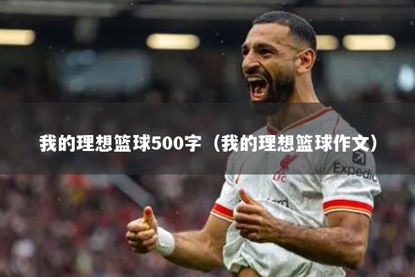我的理想篮球500字（我的理想篮球作文）