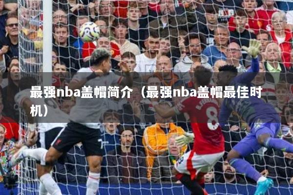 最强nba盖帽简介(最强nba盖帽最佳时机)